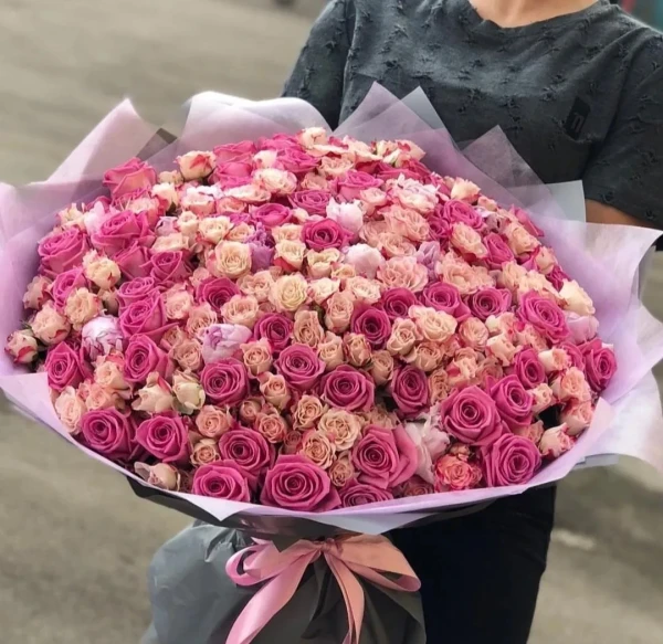 501 роза в розовых оттенках